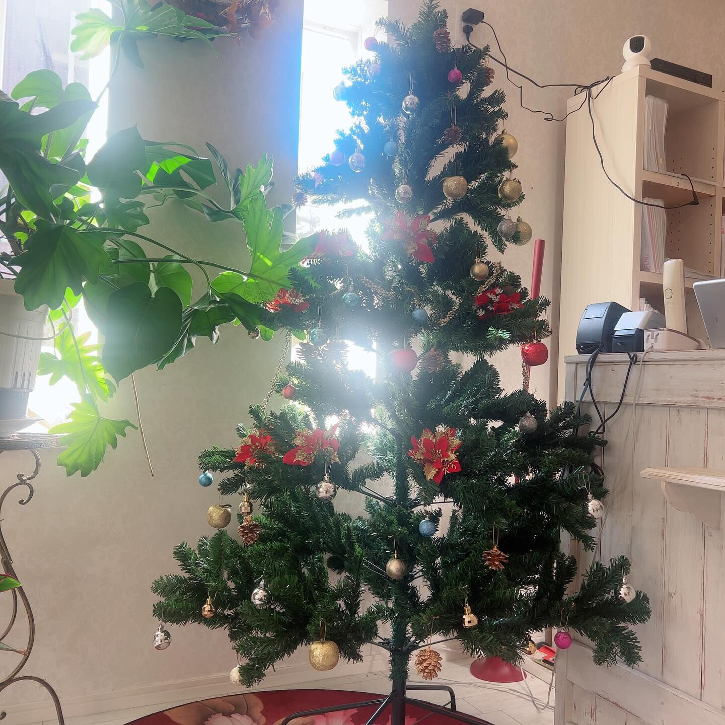 一気にクリスマス気分🎄🤶🎄 