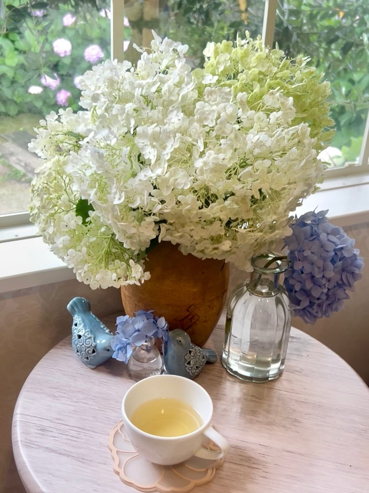ジュネスはアナベルの季節が来ました✨ 
