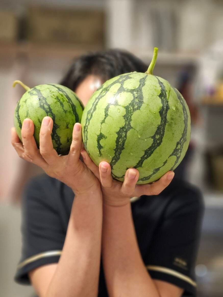 ジュネスのスイカ兄弟収穫です！